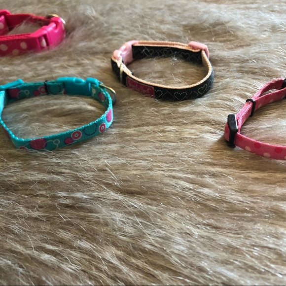 XS pet collar collection - Picture 2 of 6